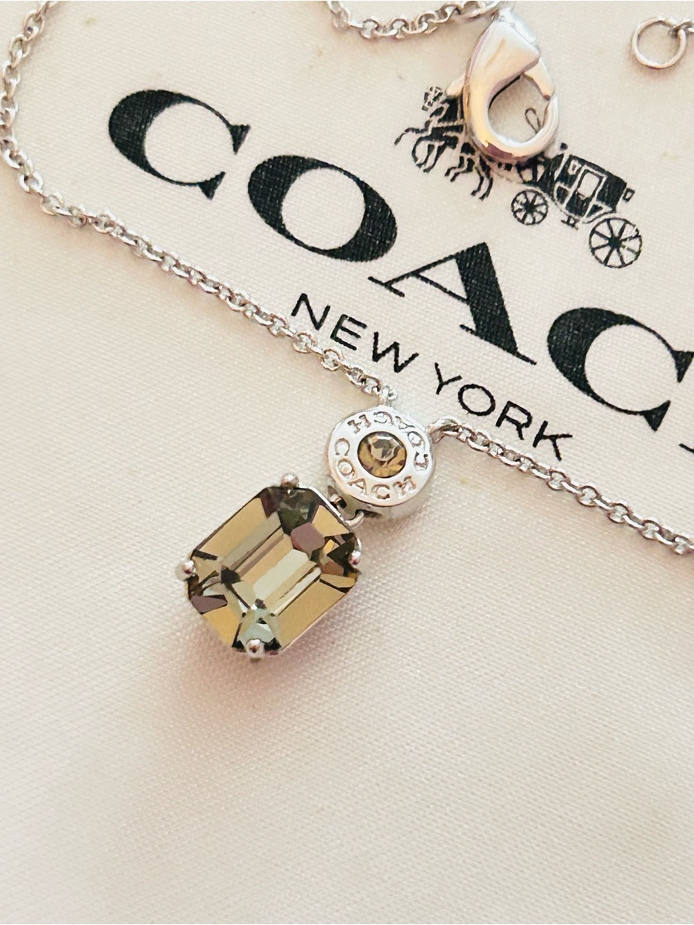 Coach Smoky Gray Stone Charm Necklace - Picture 9 of 14